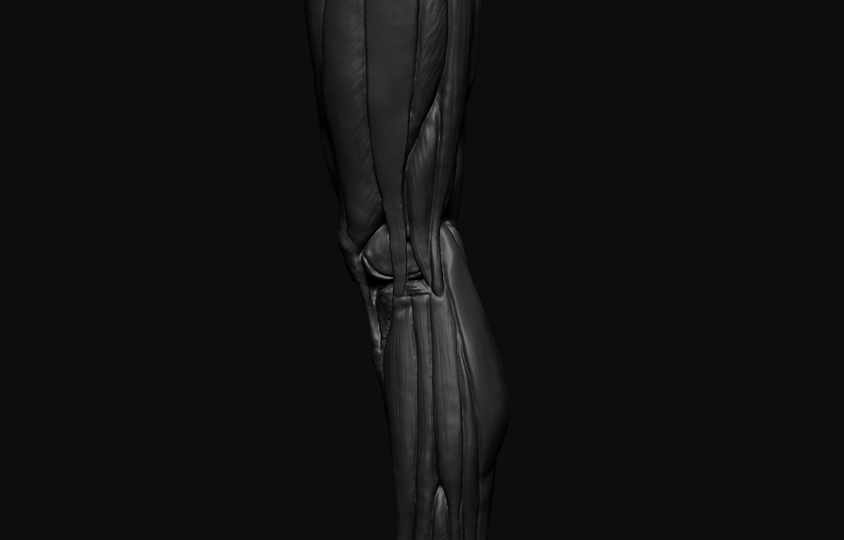 61
