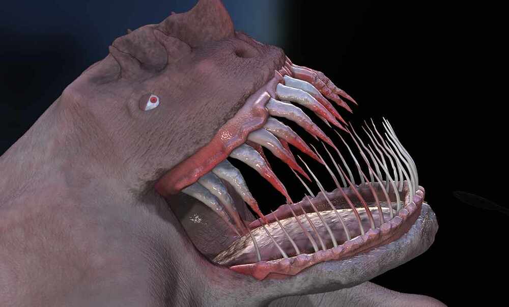 monster--beast4