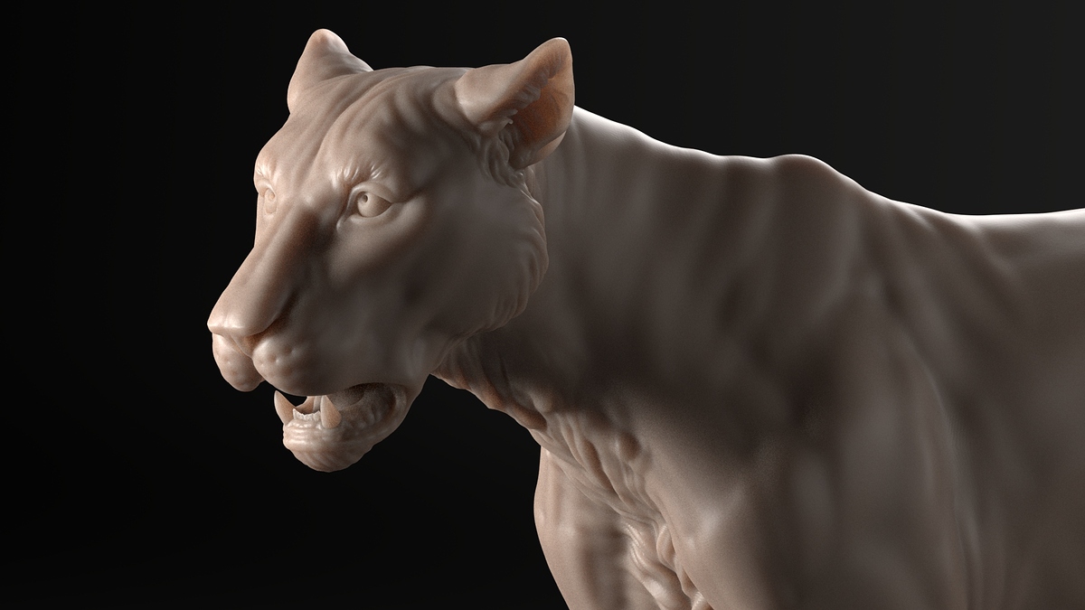 Lioness_02