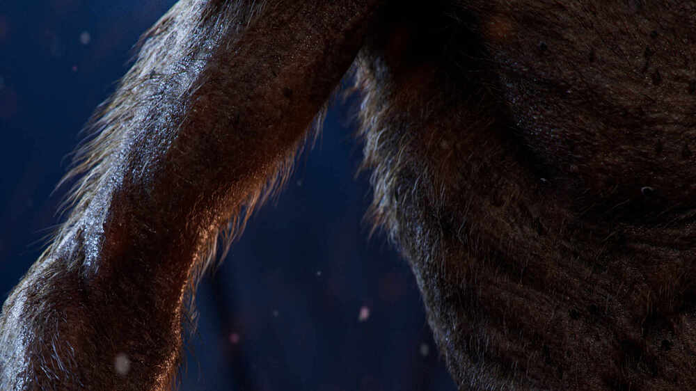 closeup_001