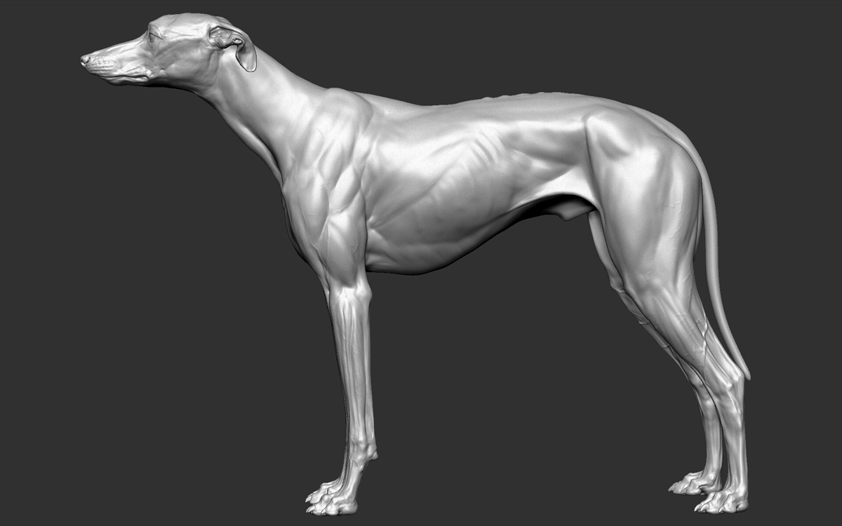 a_-models-12
