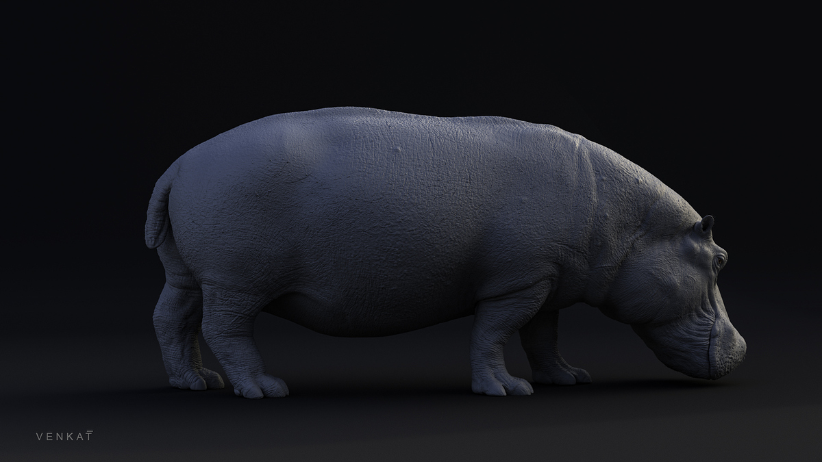 hippo_15_fx