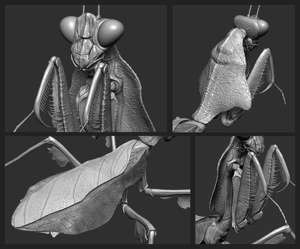 Sculpt_Leaf_Mantis