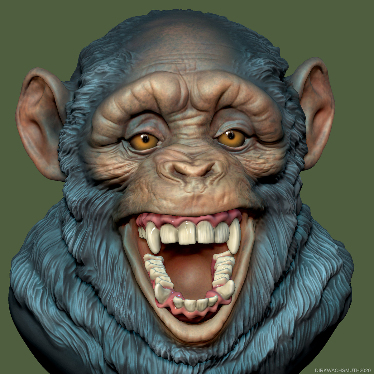 chimp_09