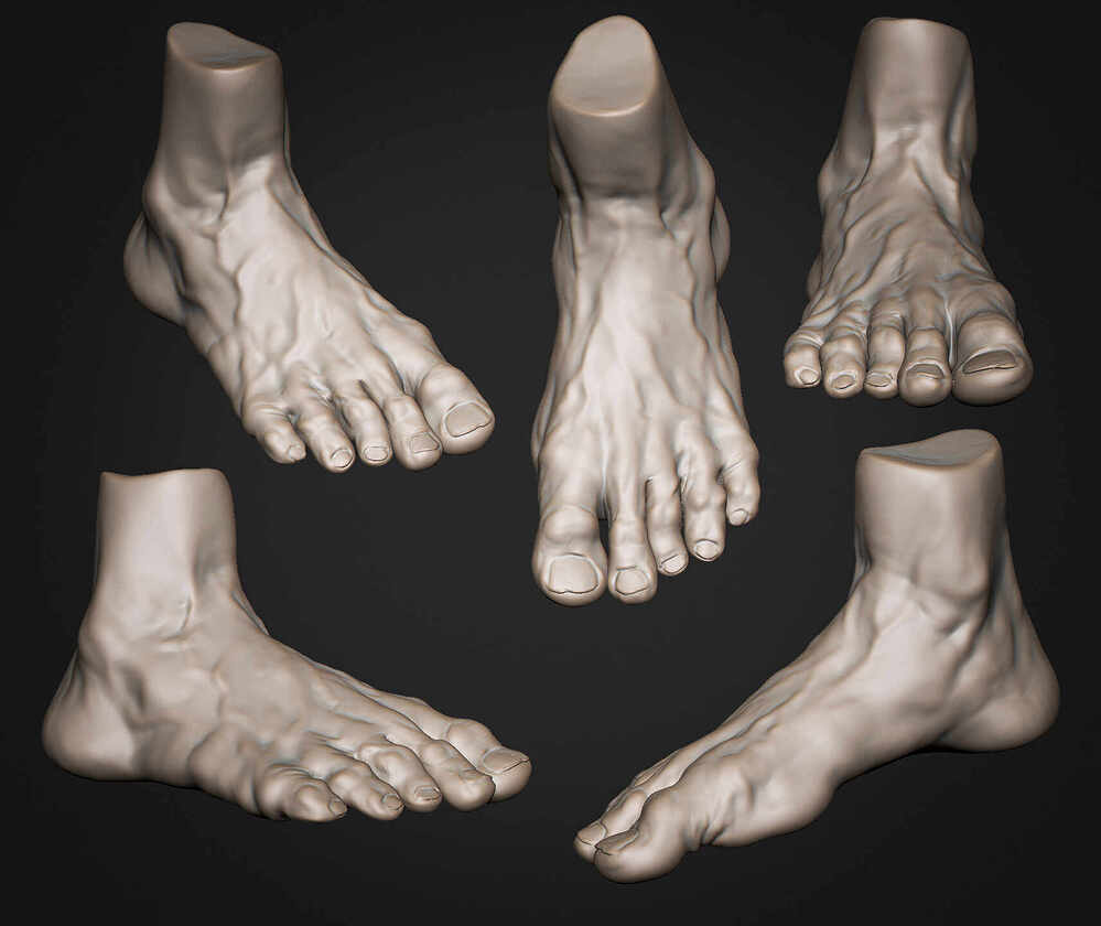 ZBrush Document