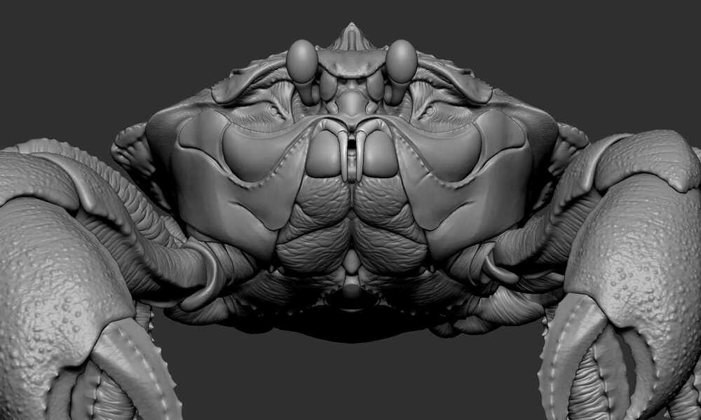 Crab_prev_01