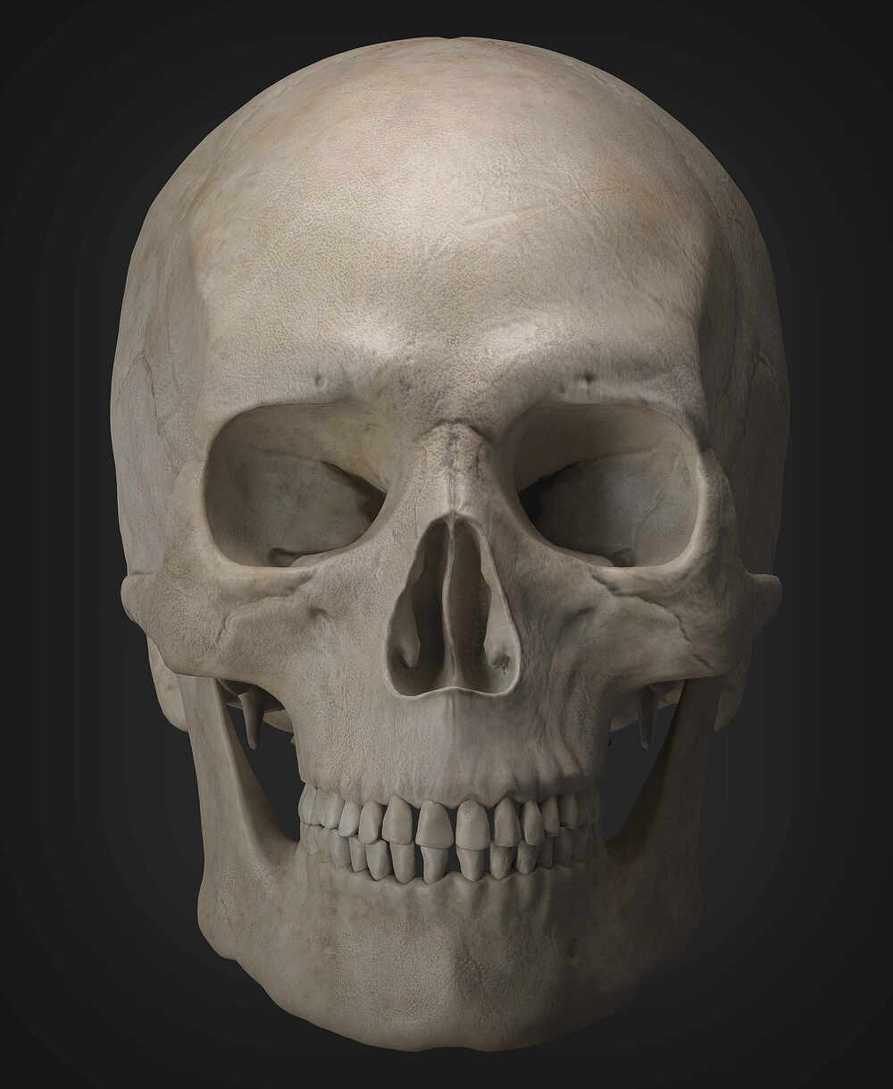skull_01