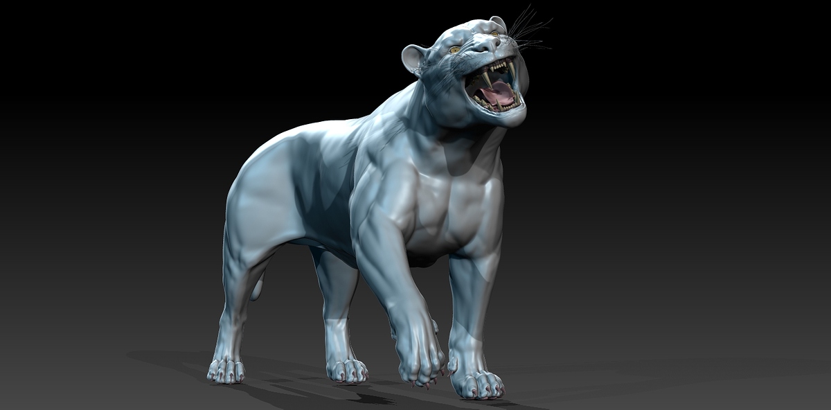 tiger12