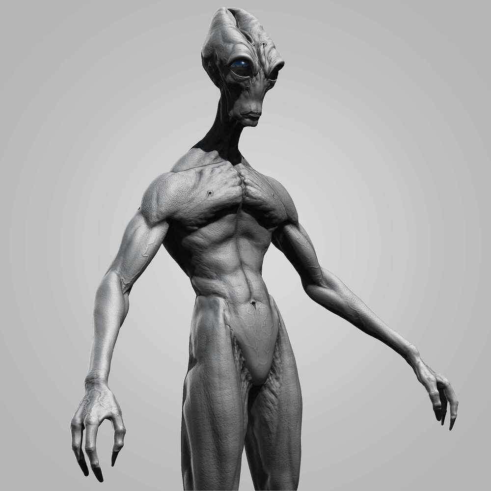 Base Render _9