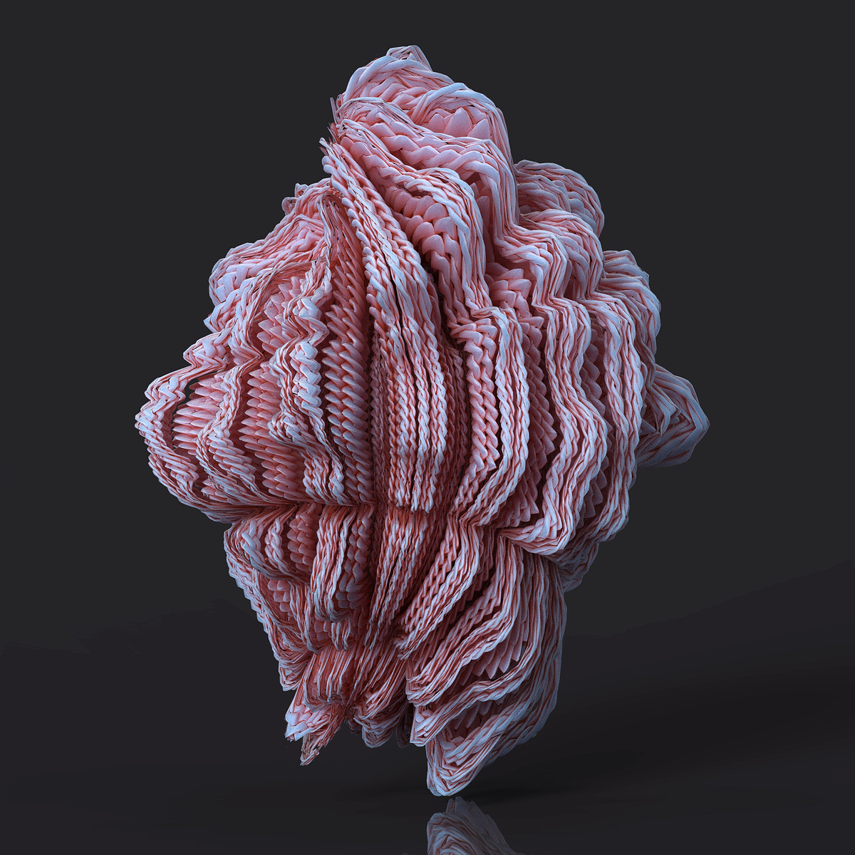 20201106-2