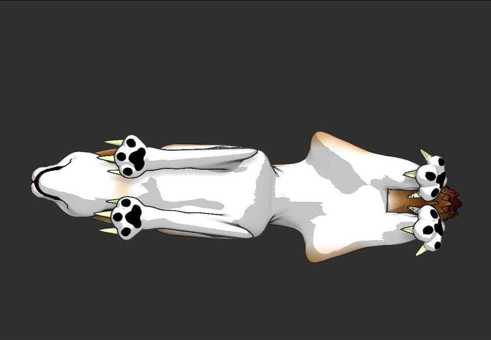 Cat 5