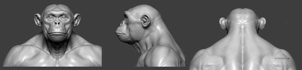 07_gael-kerchenbaum-08-chimp-breakdown