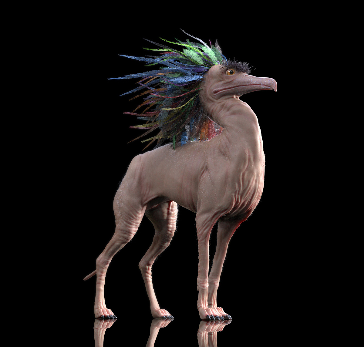 hybrid_color1.77.jpg