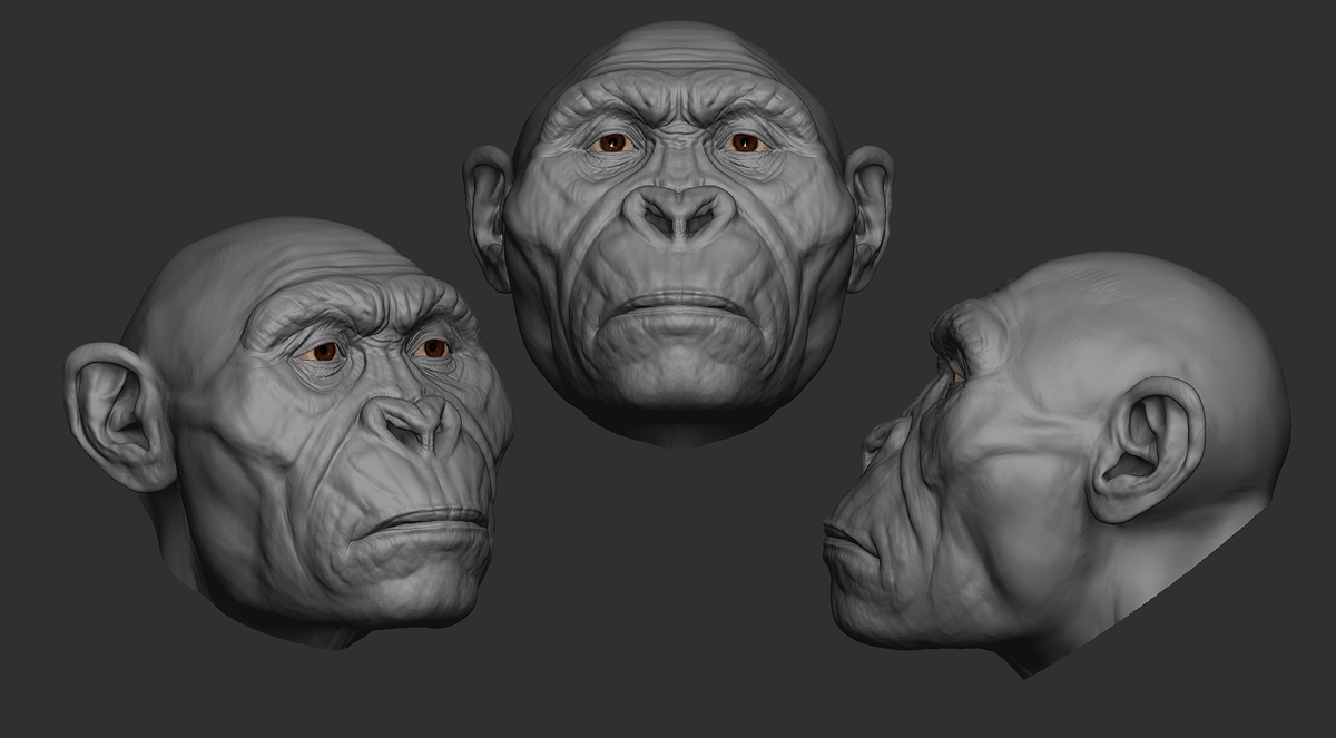 Australopithecus-10
