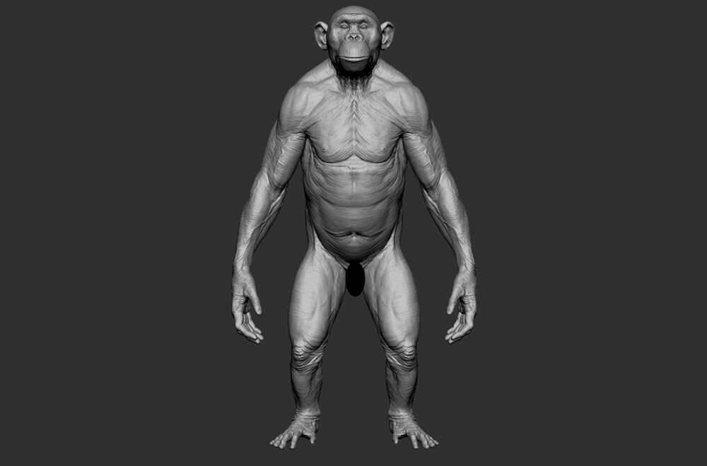 clay 01