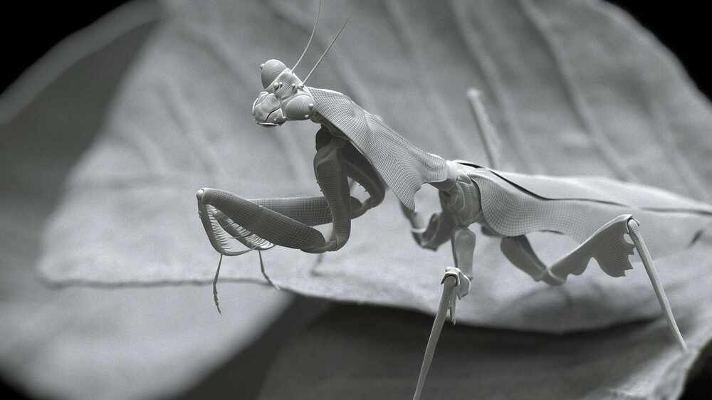 l_mantis_ar_v09_comp_clay
