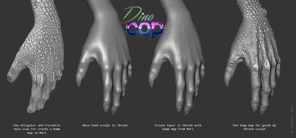 Dona_Hand_WORKFLOW