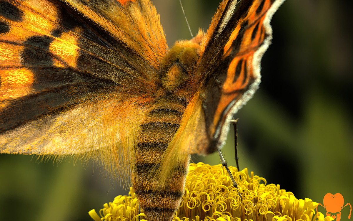 v_cardui_render_09