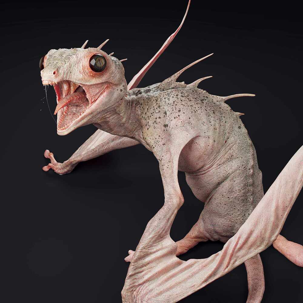 forgottenHatchling_1