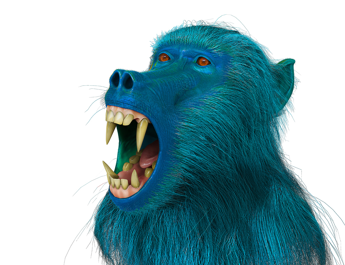 Blue%20Baboon%20Final%20image_BLUE_SMALL%20SIZE