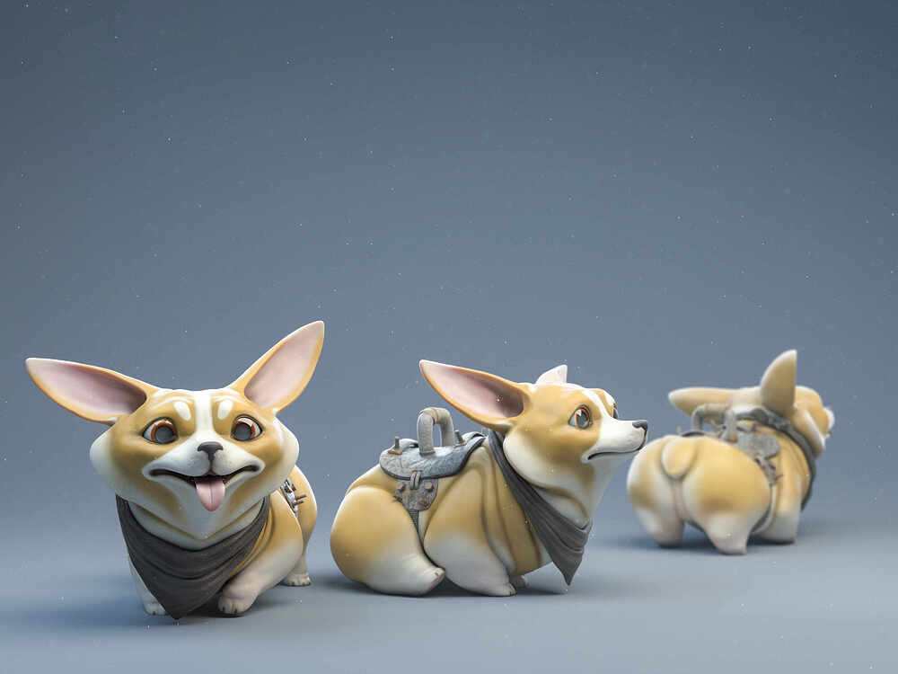 Corg04