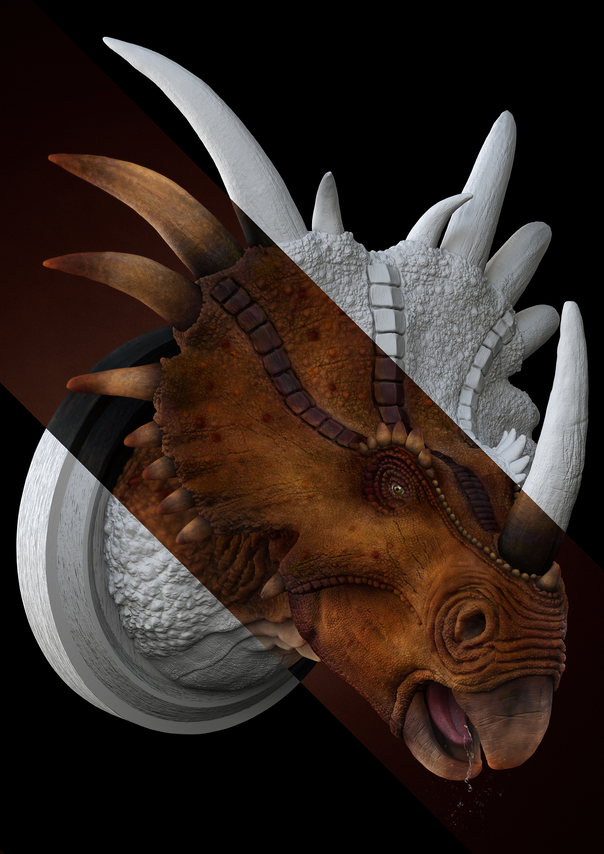 Styracosaurus_d