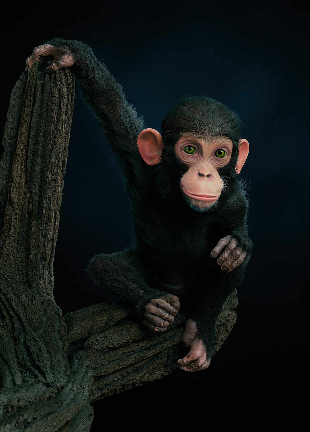 Chimp_001_2022 (4)