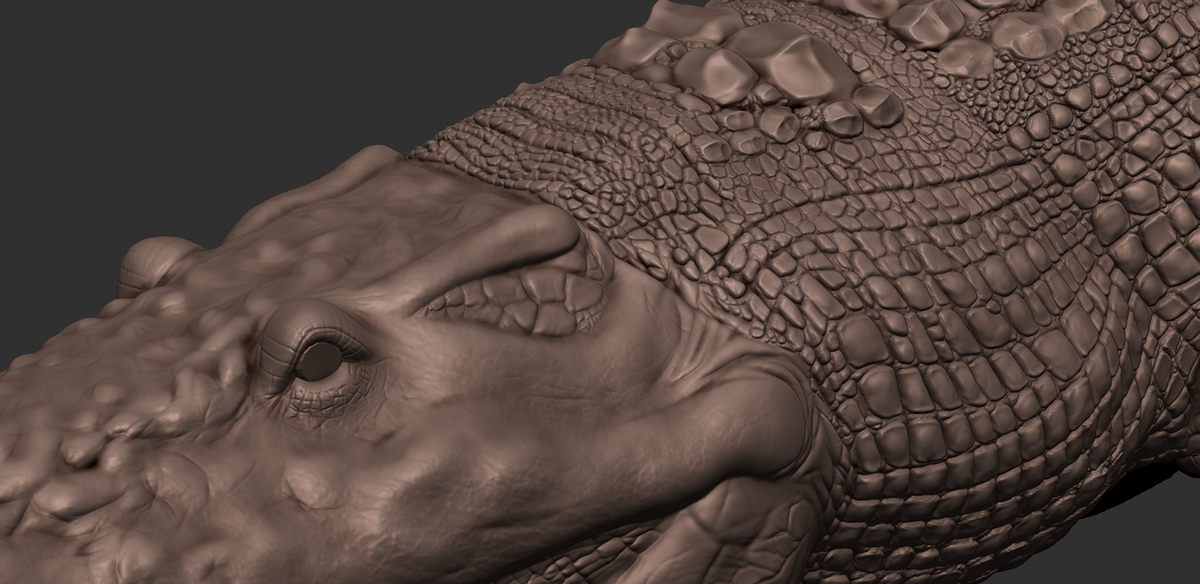 Croc_03