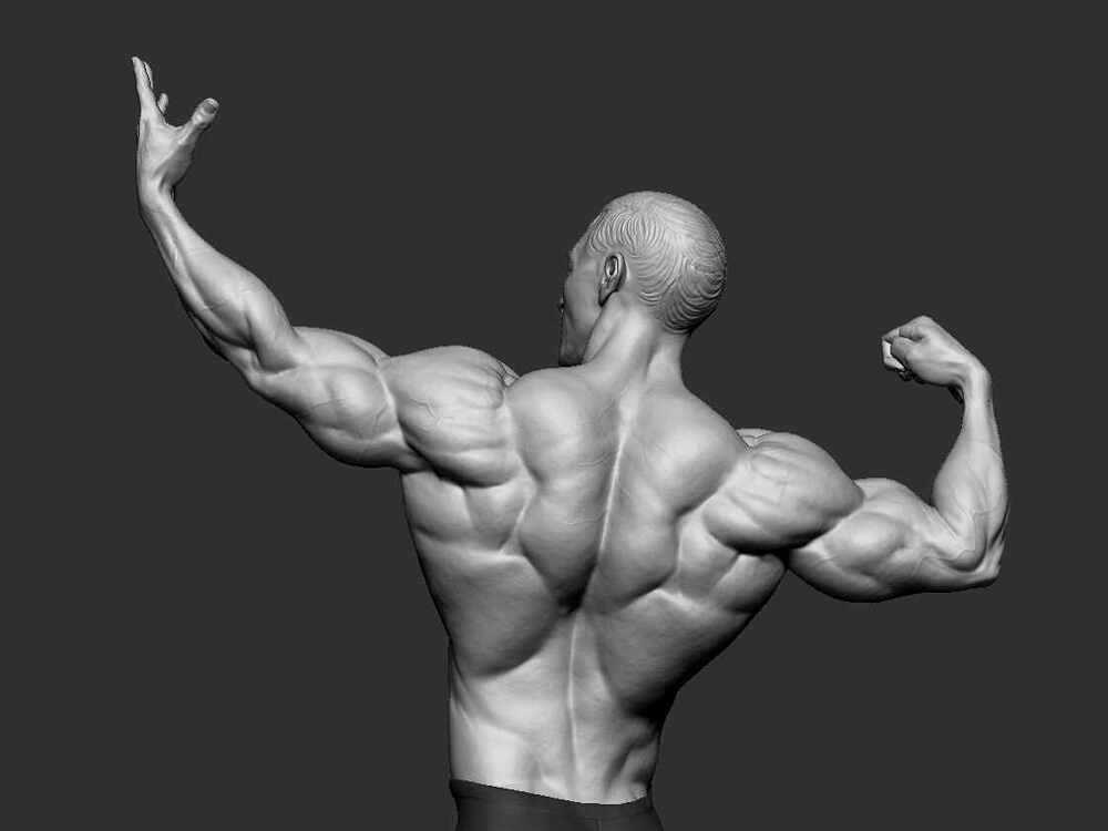 back