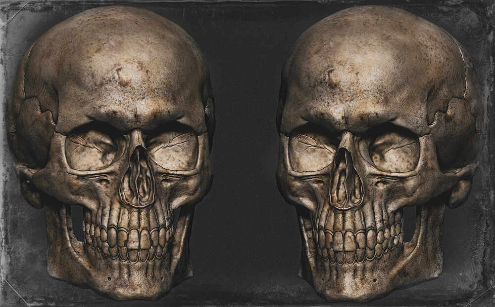 Zbrush SS