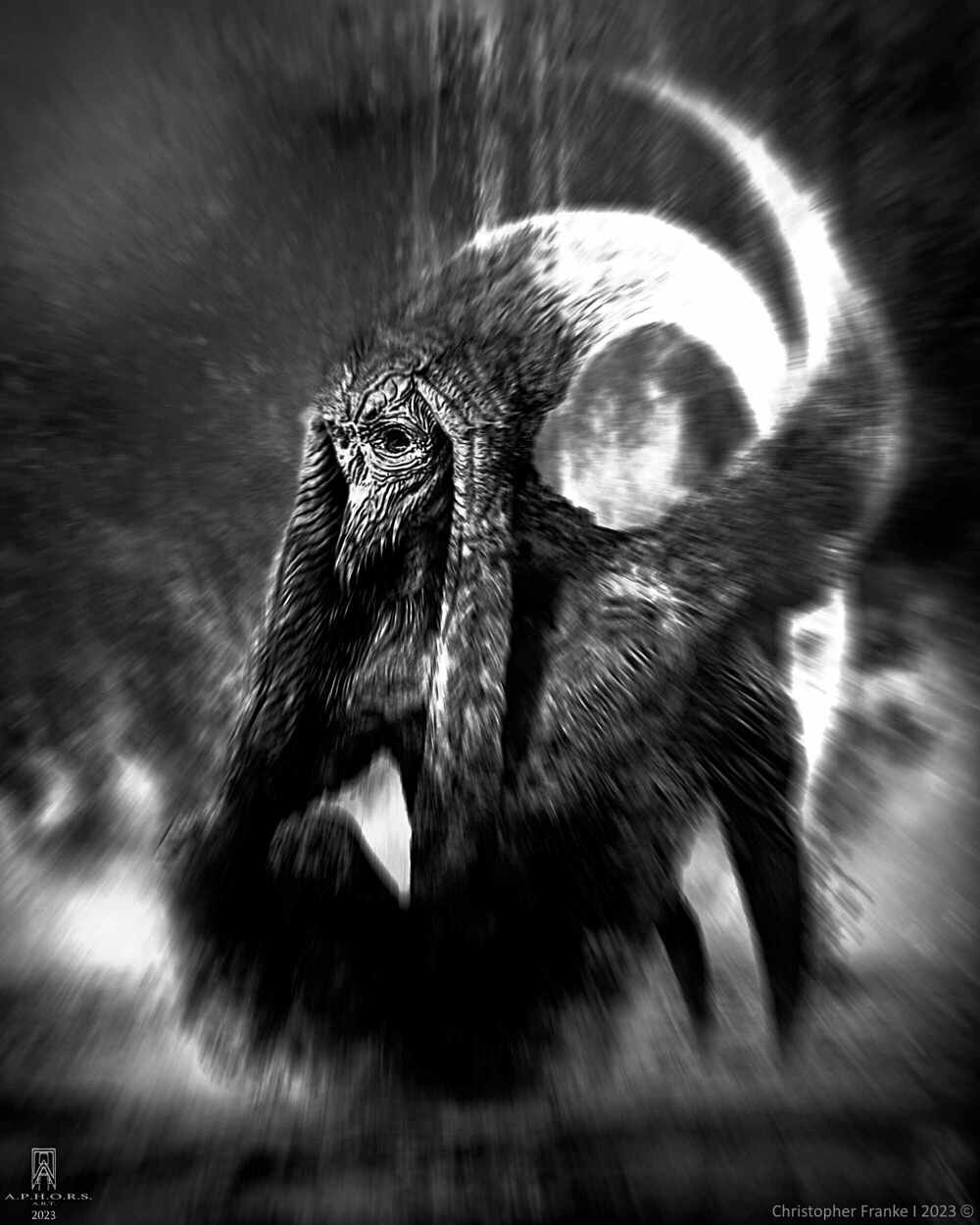 crisis_BW