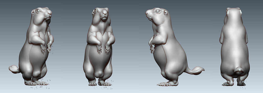 figure_ortho_hp_1905