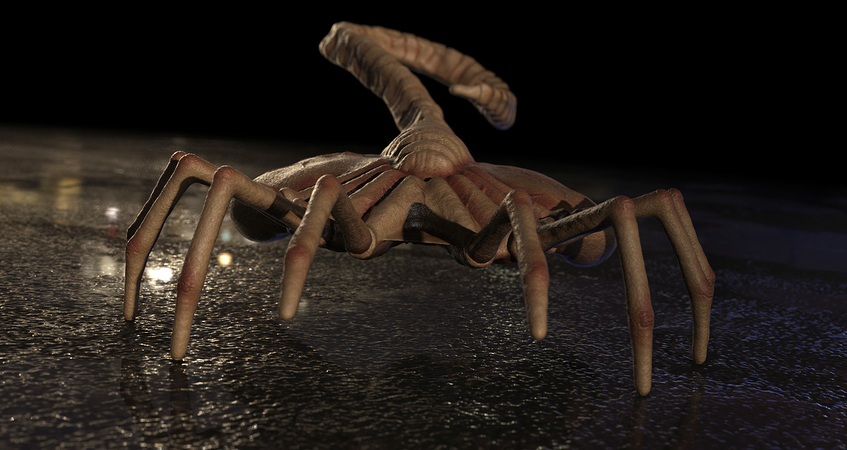 Facehugger (color corrected) 2