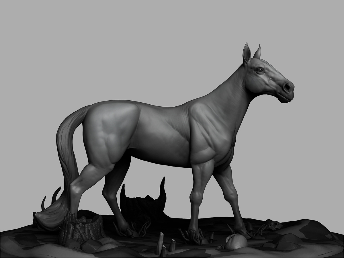 Horse01