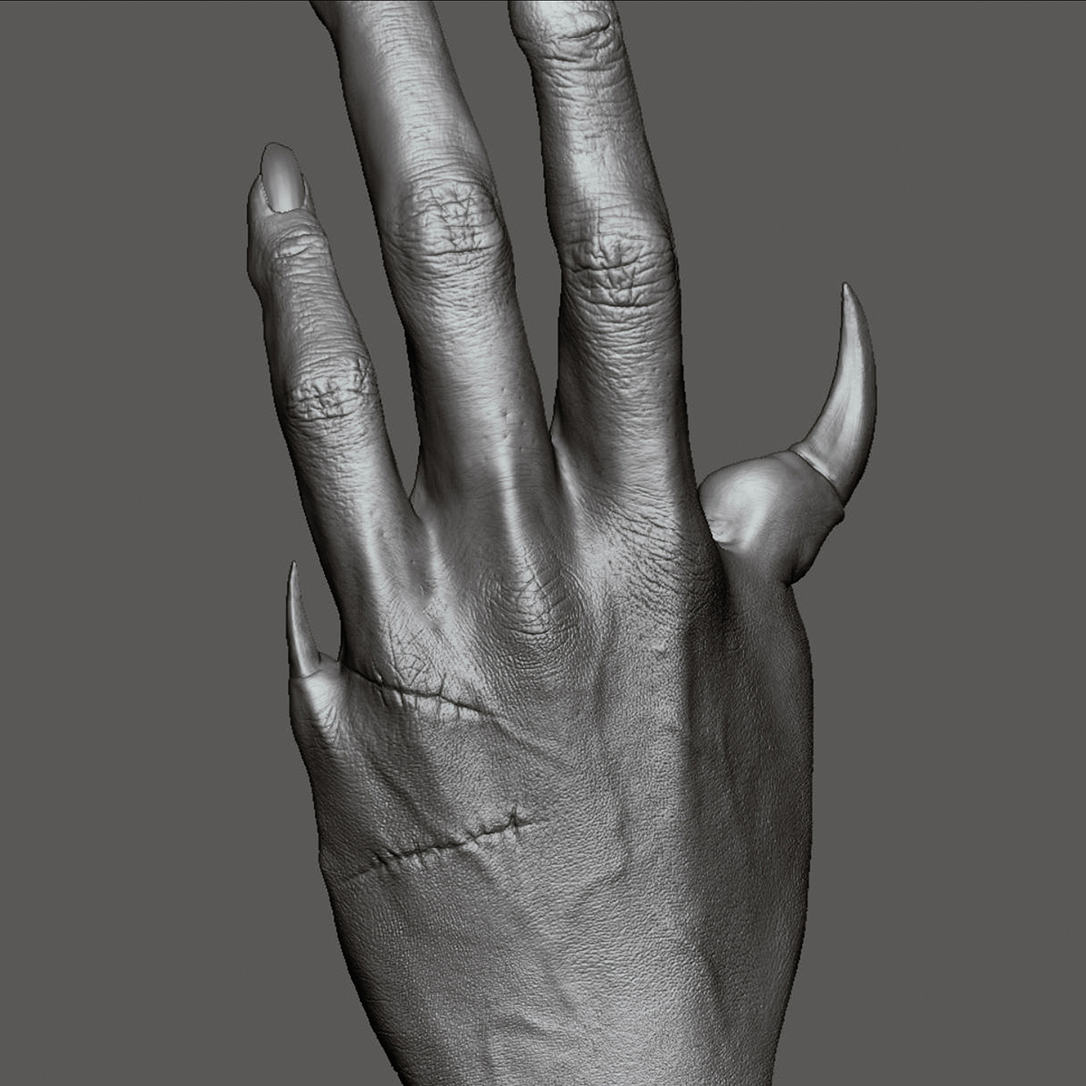 hand_preview_10b