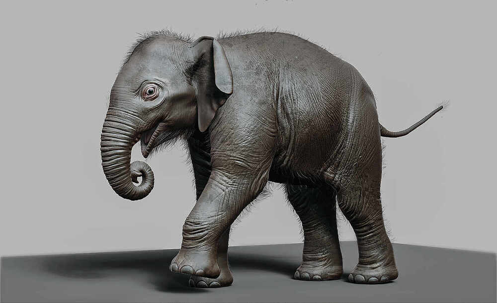 Test_Baby_Elephant_Render1