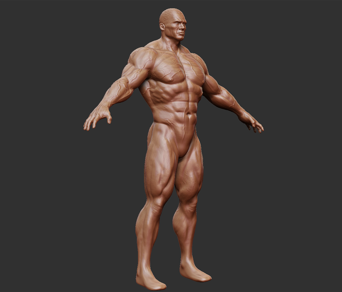 he-man_body_perspFR_01.jpg