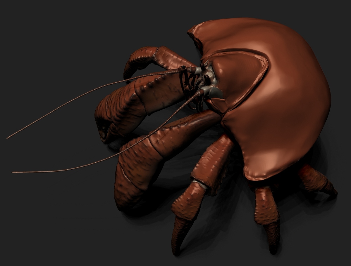 Crab1.jpg