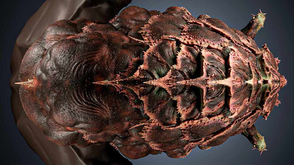 {Insect}.PathTracer._(3)000