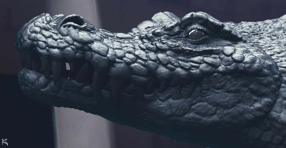 Crocodile1001_04.1001