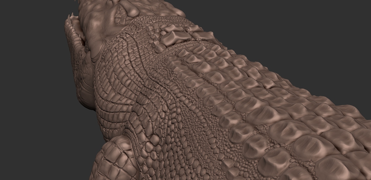 Croc_04