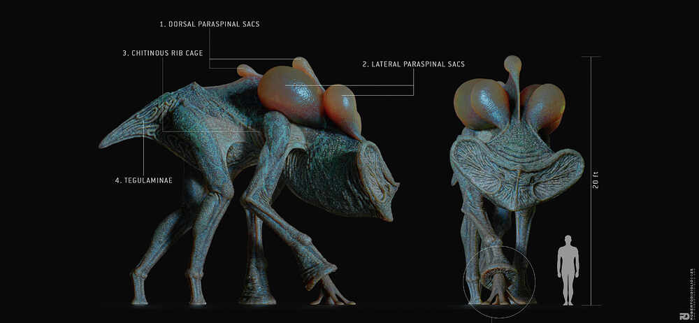 Terragaster_7a