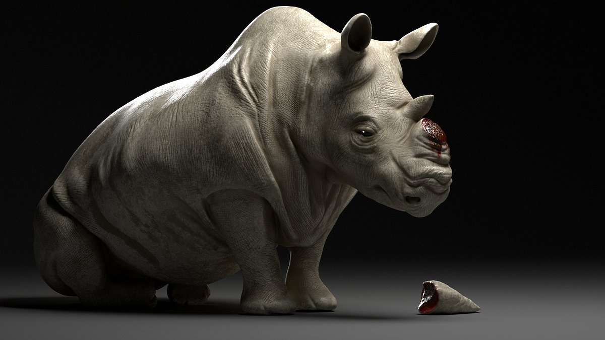 Horn_final_02