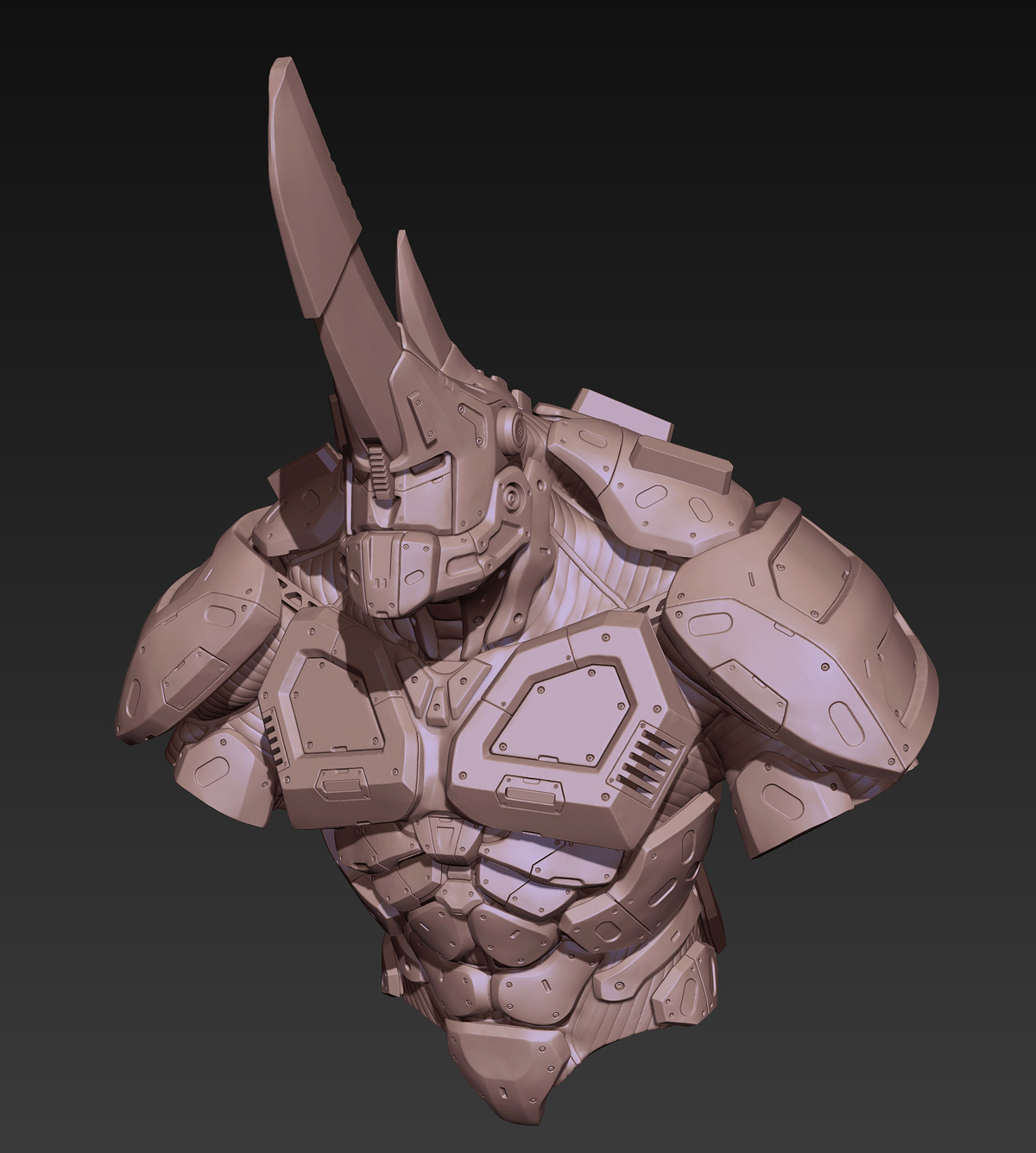 rhino_high_07