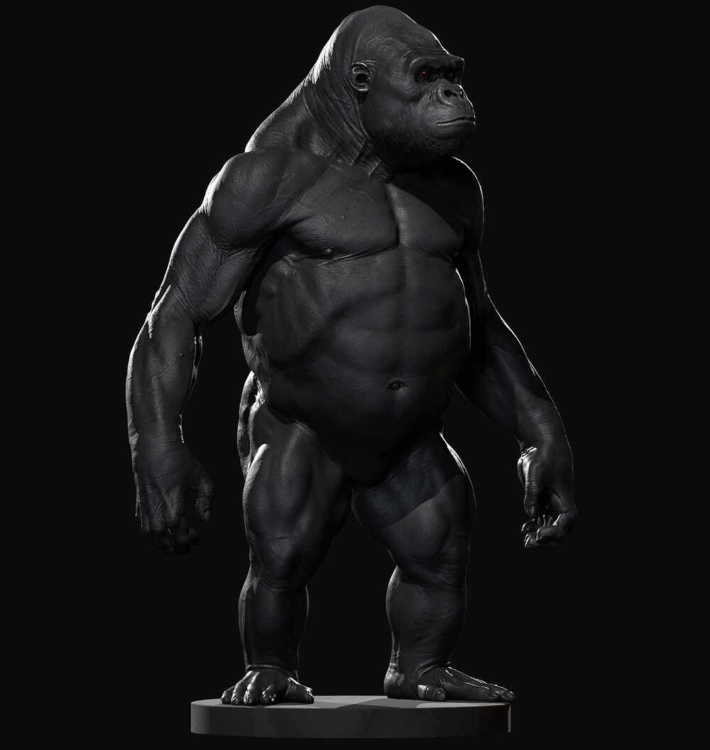 Ape Anatomy Practise 04