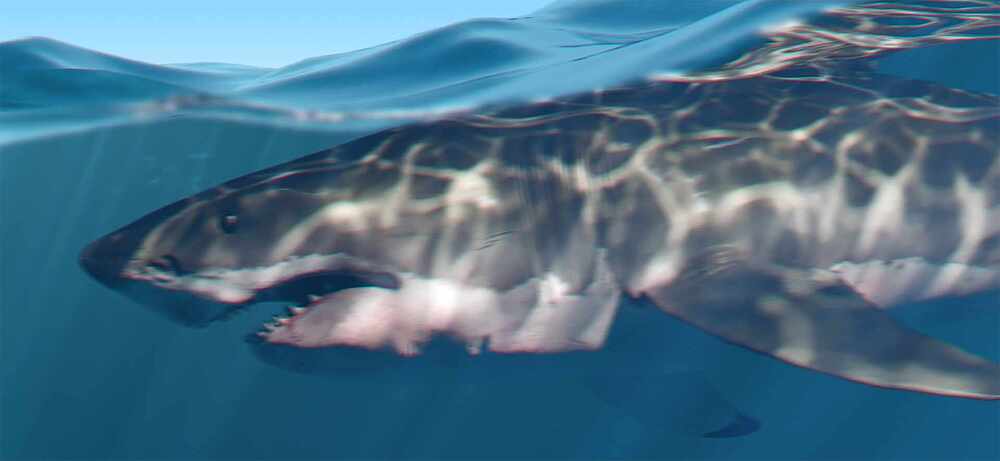 Artstation-motionblur