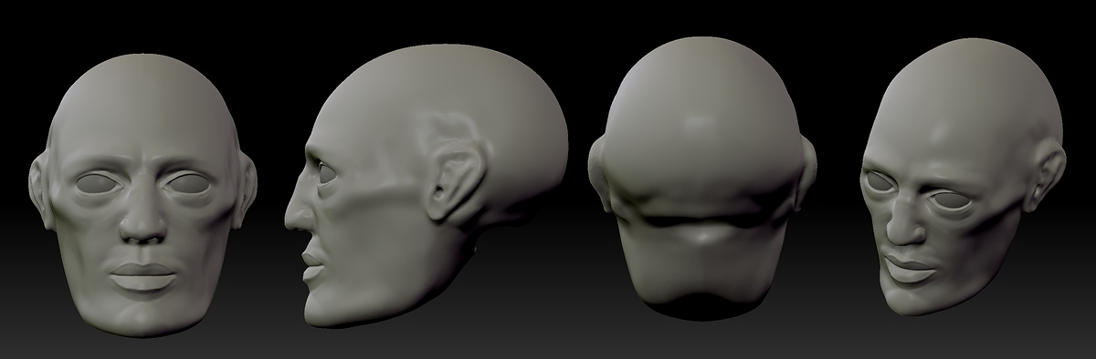 headStudy1