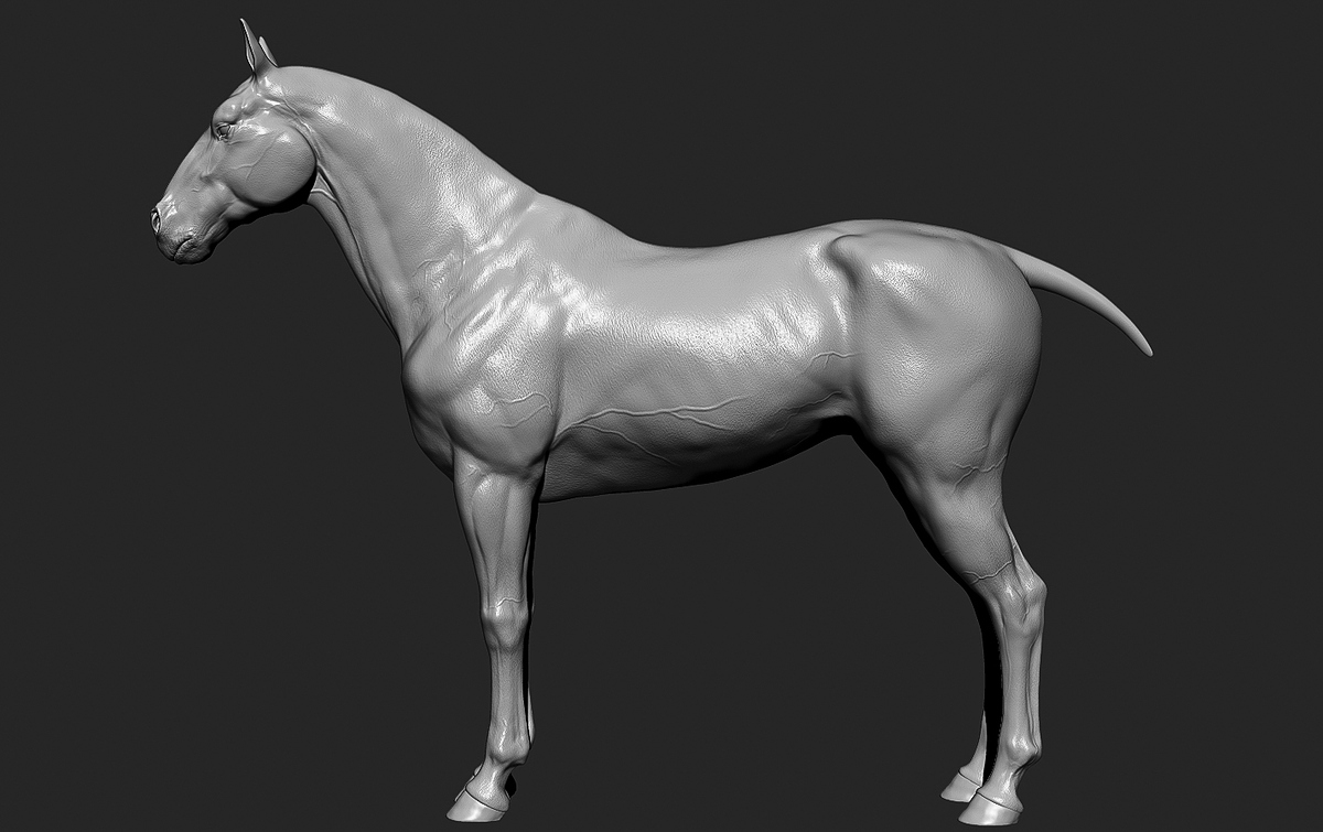 HorseZ_ (2 of 3)