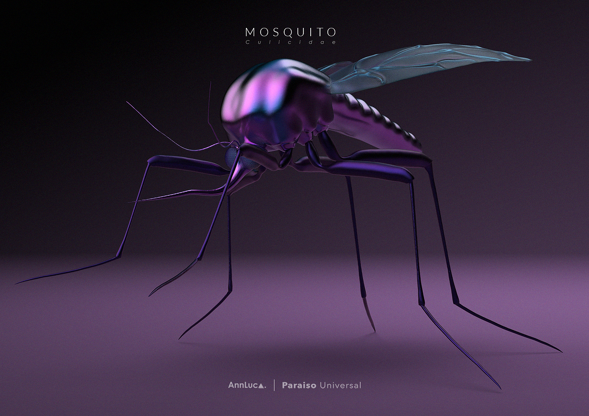 mosquito1