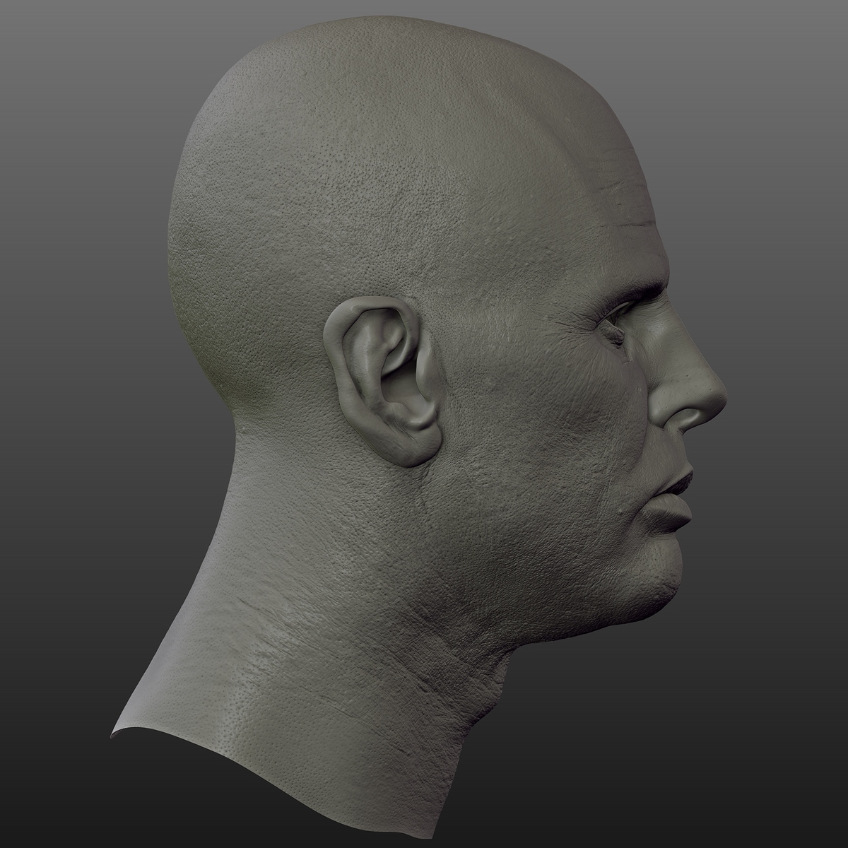 ZBrush Document05